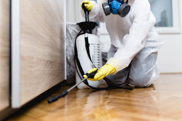 Pest Control Cost in Giddings, TX