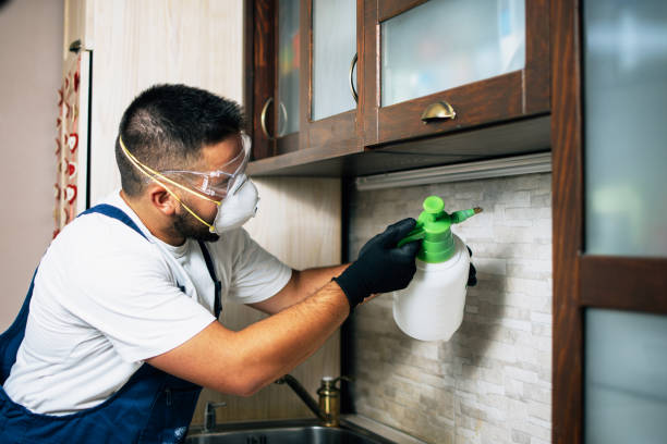 Best Best Pest Control Companies  in Giddings, TX