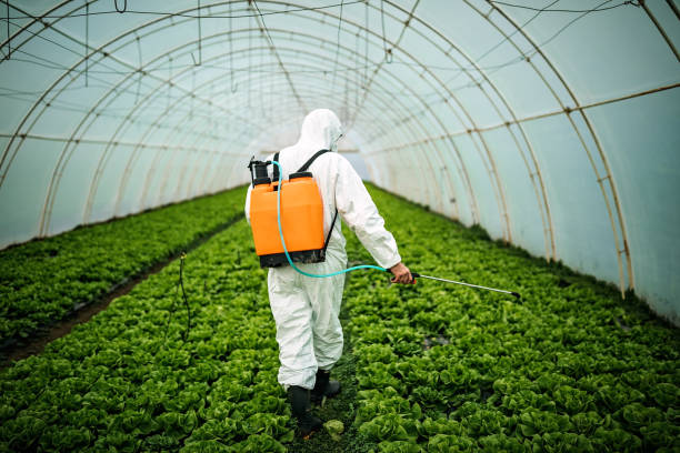 Best Affordable Pest Control Services  in Giddings, TX