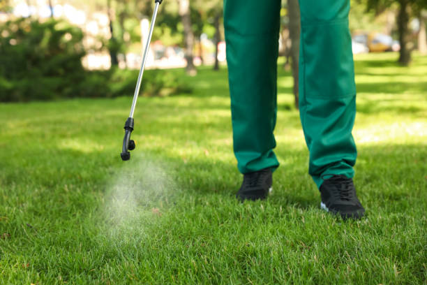 Best Affordable Exterminators  in Giddings, TX