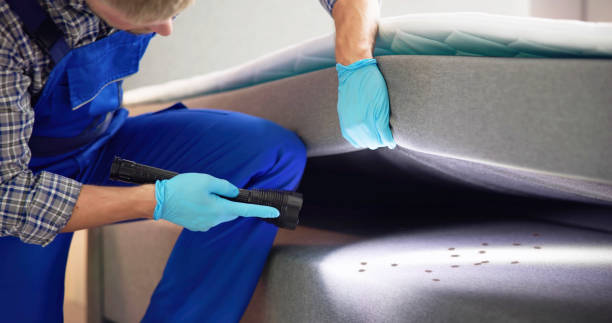 Best Best Pest Control Companies  in Giddings, TX