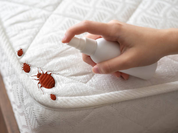 Best Pest Control Near Me  in Giddings, TX