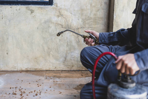 Best Residential Pest Control  in Giddings, TX